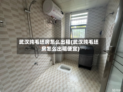 武汉纯毛坯房怎么出租(武汉纯毛坯房怎么出租便宜)