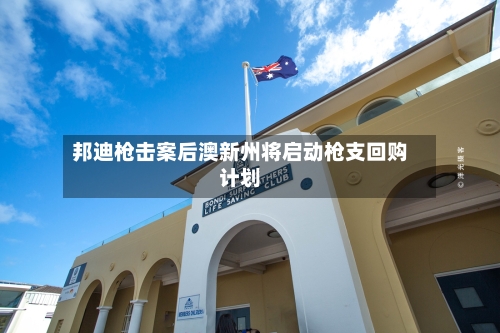 邦迪枪击案后澳新州将启动枪支回购计划-第2张图片