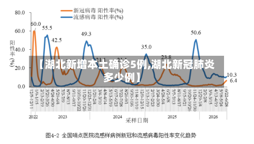 【湖北新增本土确诊5例,湖北新冠肺炎多少例】-第2张图片