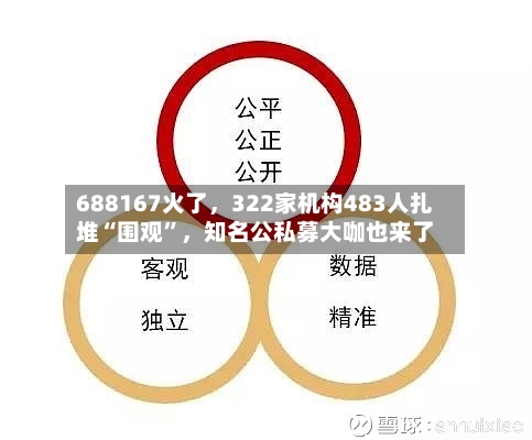 688167火了，322家机构483人扎堆“围观”	，知名公私募大咖也来了-第3张图片