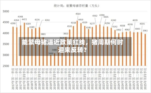 能繁母猪逼近政策红线，猪周期何时迎来反转？-第2张图片