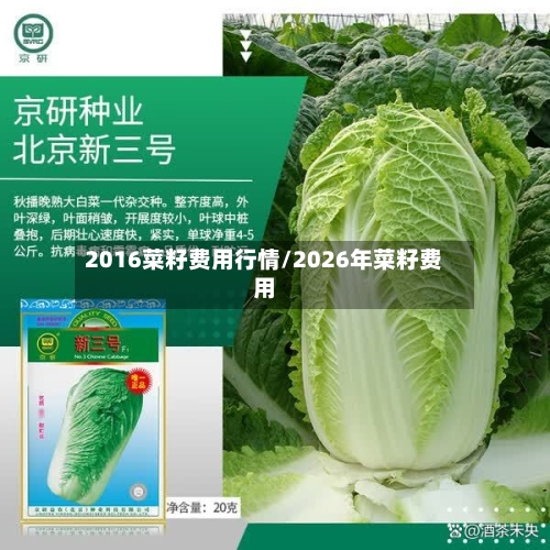 2016菜籽费用行情/2026年菜籽费用