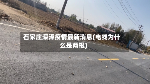 石家庄深泽疫情最新消息(电线为什么是两根)