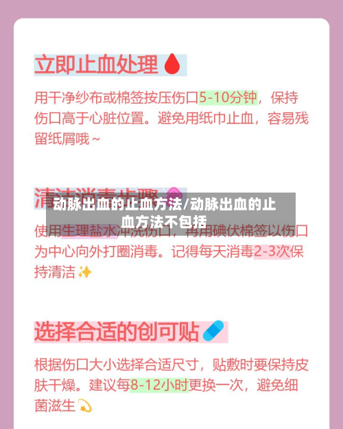 动脉出血的止血方法/动脉出血的止血方法不包括