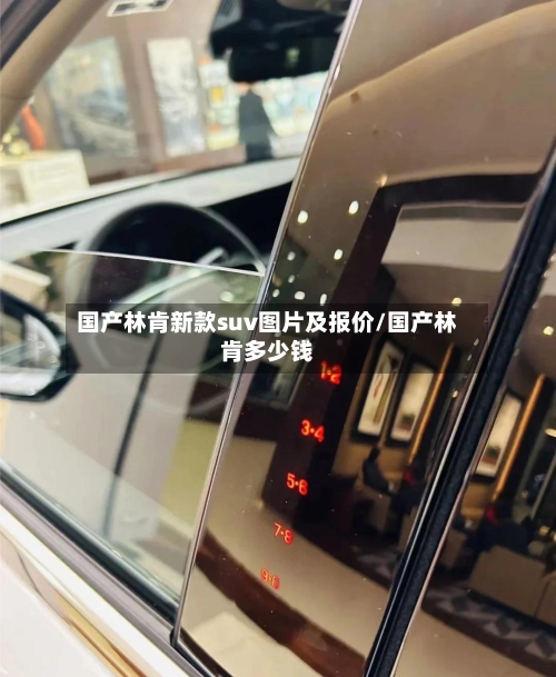 国产林肯新款suv图片及报价/国产林肯多少钱