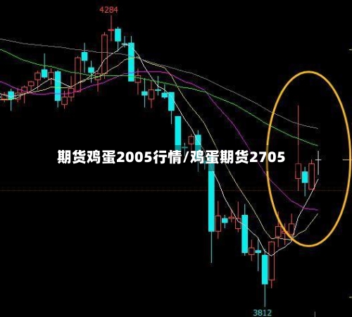 期货鸡蛋2005行情/鸡蛋期货2705-第2张图片