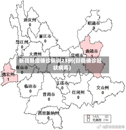 新疆新增确诊病例23例(新疆确诊冠状病毒)-第2张图片
