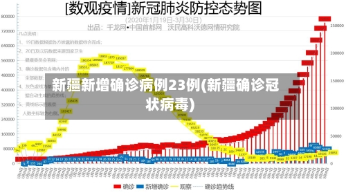 新疆新增确诊病例23例(新疆确诊冠状病毒)