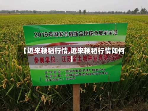 【近来粳稻行情,近来粳稻行情如何】-第2张图片