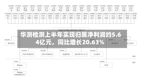 华测检测上半年实现归属净利润约5.64亿元，同比增长20.63%