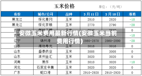安微玉米费用最新行情(安徽玉米当前费用行情)-第2张图片