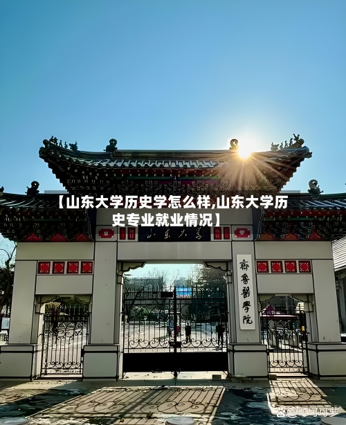 【山东大学历史学怎么样,山东大学历史专业就业情况】-第3张图片