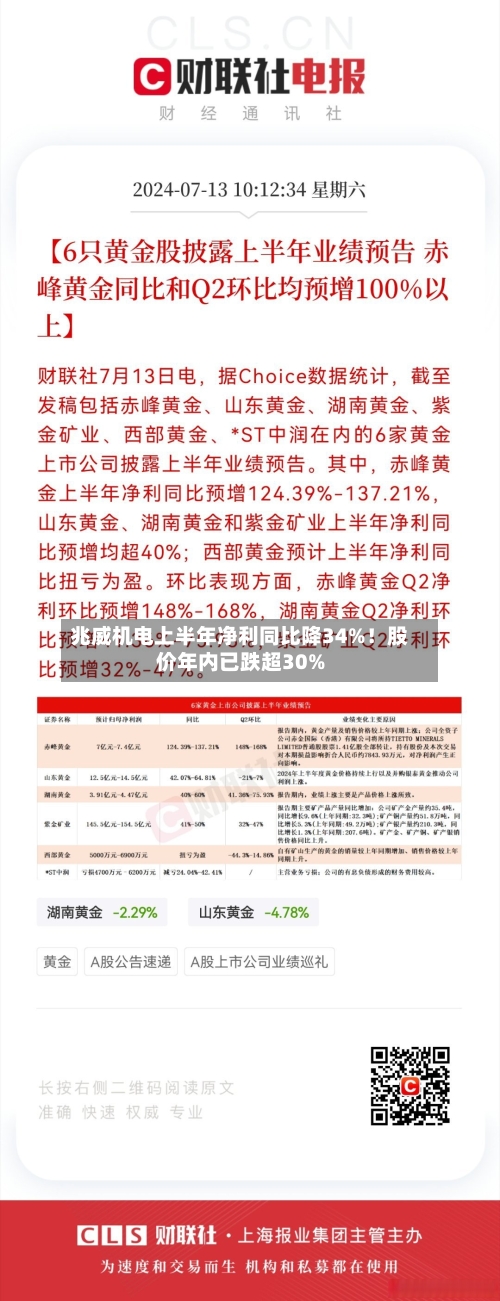 兆威机电上半年净利同比降34%!股价年内已跌超30%-第3张图片