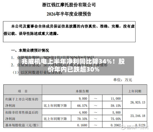 兆威机电上半年净利同比降34%！股价年内已跌超30%
