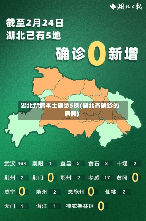 湖北新增本土确诊5例(湖北省确诊的病例)-第3张图片