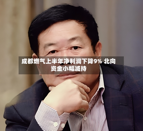 成都燃气上半年净利润下降9% 北向资金小幅减持-第2张图片