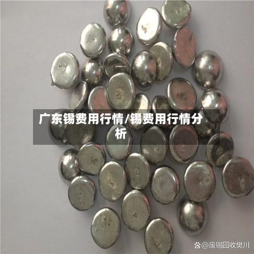 广东锡费用行情/锡费用行情分析-第3张图片