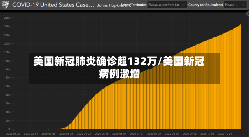 美国新冠肺炎确诊超132万/美国新冠病例激增
