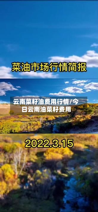 云南菜籽油费用行情/今日云南油菜籽费用-第2张图片