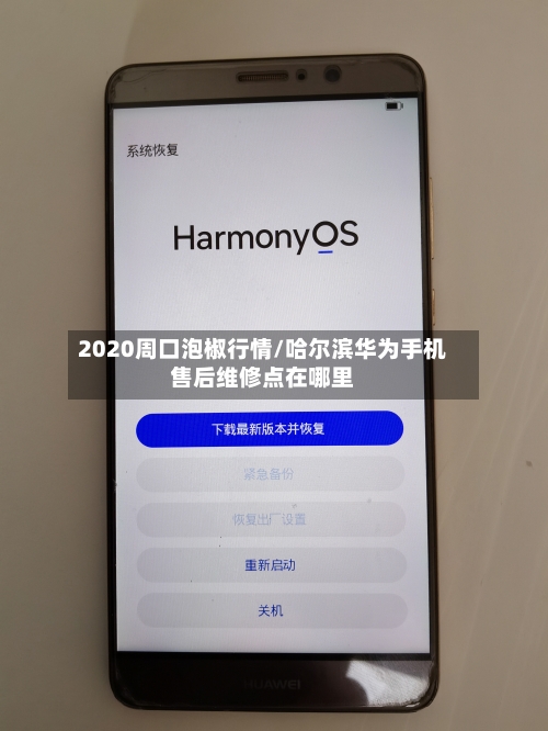 2020周口泡椒行情/哈尔滨华为手机售后维修点在哪里