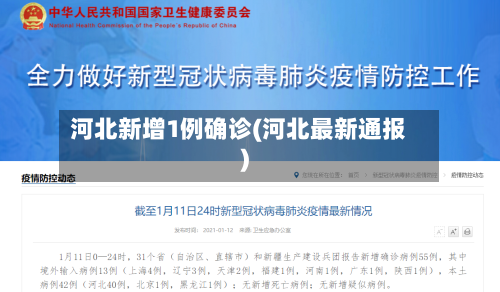 河北新增1例确诊(河北最新通报)-第3张图片