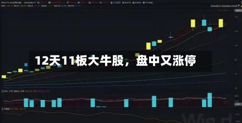 12天11板大牛股	，盘中又涨停-第3张图片