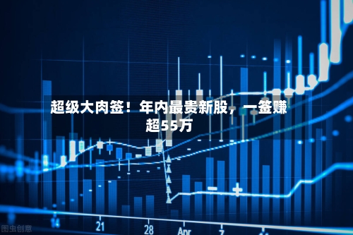 超级大肉签！年内最贵新股，一签赚超55万-第2张图片