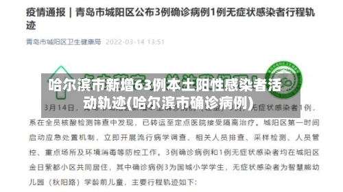 哈尔滨市新增63例本土阳性感染者活动轨迹(哈尔滨市确诊病例)