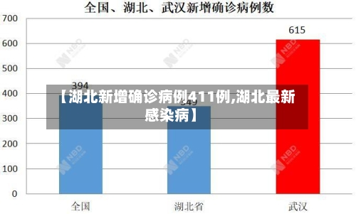 【湖北新增确诊病例411例,湖北最新感染病】-第3张图片