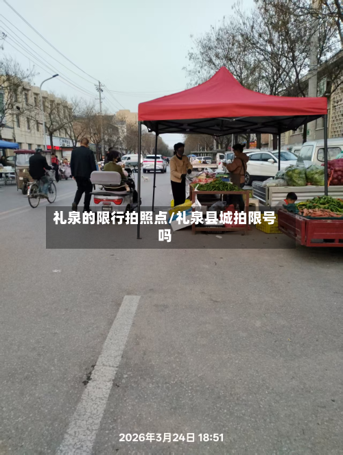 礼泉的限行拍照点/礼泉县城拍限号吗-第3张图片