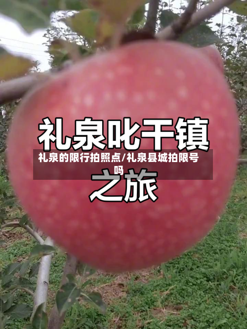 礼泉的限行拍照点/礼泉县城拍限号吗-第2张图片