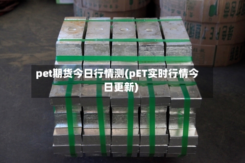pet期货今日行情测(pET实时行情今日更新)-第3张图片