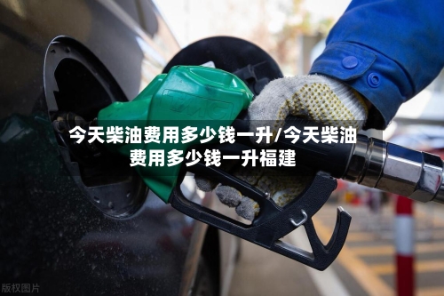 今天柴油费用多少钱一升/今天柴油费用多少钱一升福建-第2张图片