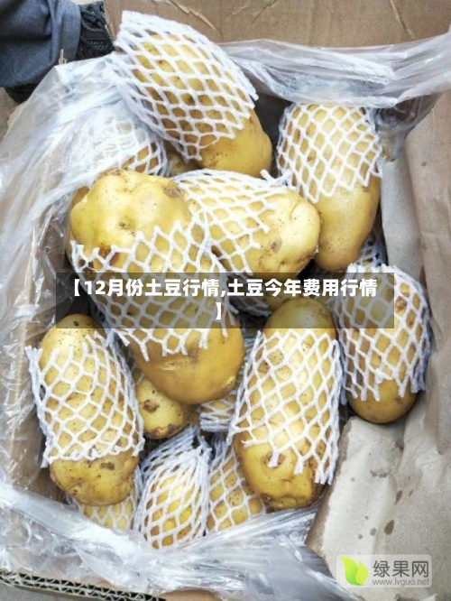 【12月份土豆行情,土豆今年费用行情】-第2张图片