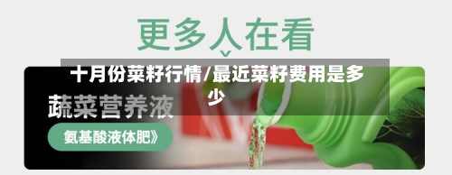 十月份菜籽行情/最近菜籽费用是多少-第2张图片