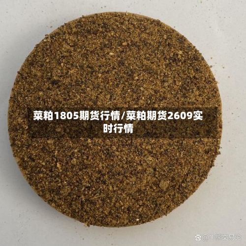 菜粕1805期货行情/菜粕期货2609实时行情