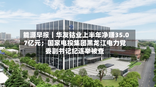 能源早报｜华友钴业上半年净赚35.07亿元；国家电投集团黑龙江电力党委副书记纪连举被查