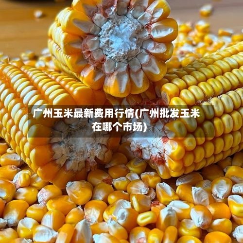 广州玉米最新费用行情(广州批发玉米在哪个市场)-第3张图片