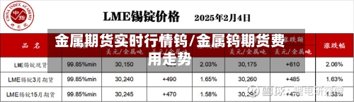 金属期货实时行情钨/金属钨期货费用走势