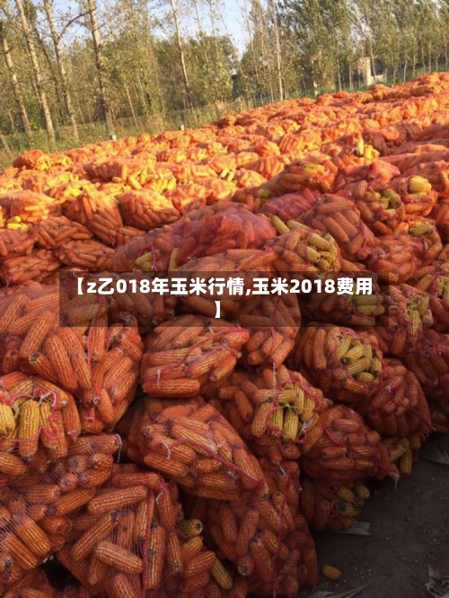 【z乙018年玉米行情,玉米2018费用】-第2张图片