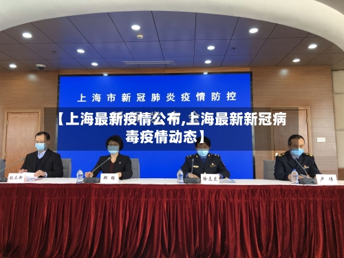 【上海最新疫情公布,上海最新新冠病毒疫情动态】-第2张图片