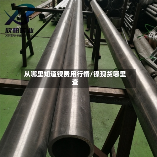 从哪里知道镍费用行情/镍现货哪里查-第2张图片