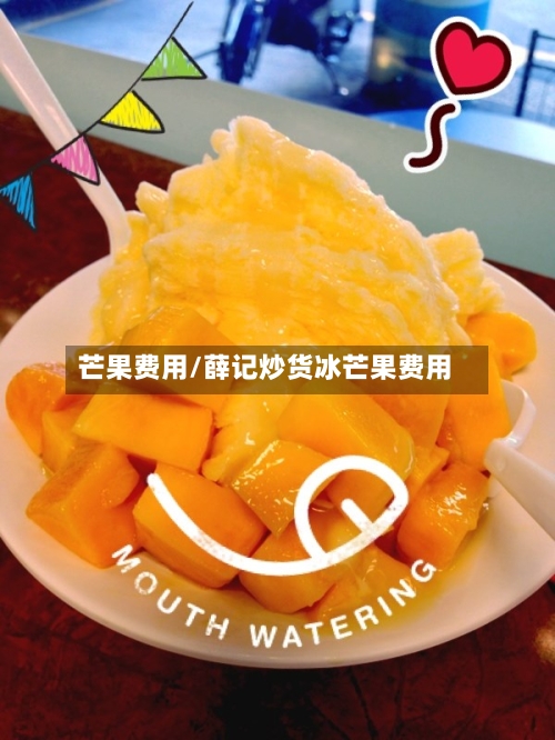 芒果费用/薛记炒货冰芒果费用-第2张图片