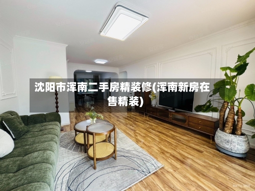 沈阳市浑南二手房精装修(浑南新房在售精装)