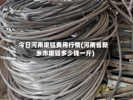今日河南废铝费用行情(河南省新乡市废铝多少钱一斤)