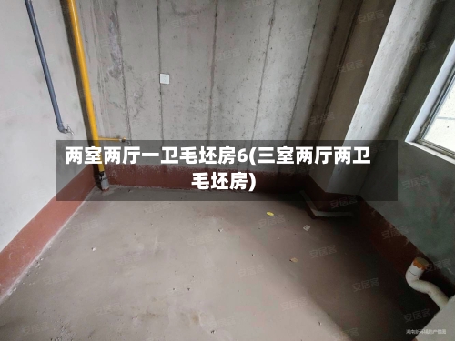 两室两厅一卫毛坯房6(三室两厅两卫毛坯房)-第2张图片