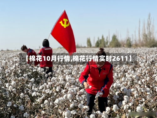 【棉花10月行情,棉花行情实时2611】
