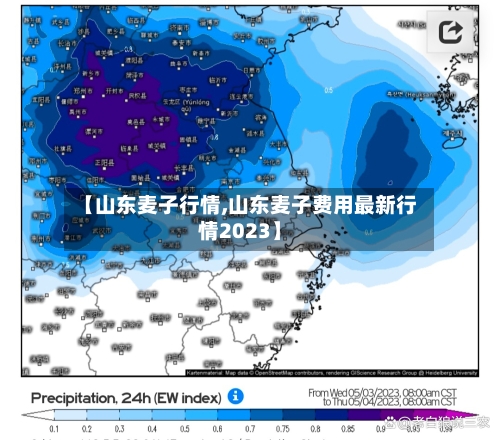 【山东麦子行情,山东麦子费用最新行情2023】-第2张图片