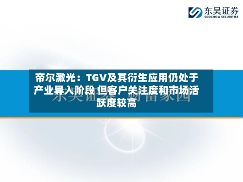 帝尔激光:TGV及其衍生应用仍处于产业导入阶段 但客户关注度和市场活跃度较高-第2张图片
