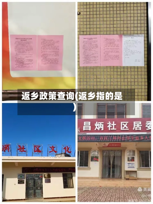 返乡政策查询(返乡指的是)-第2张图片